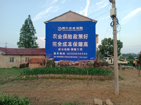 大化墙体广告为何受追捧？